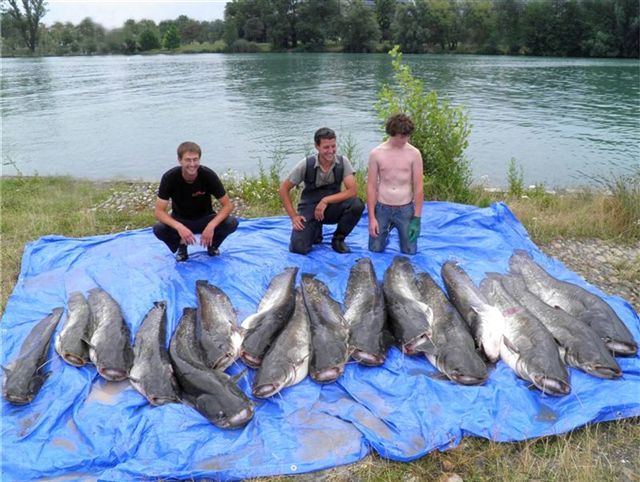 Le film documentaire la chasse et la pêche en ligne